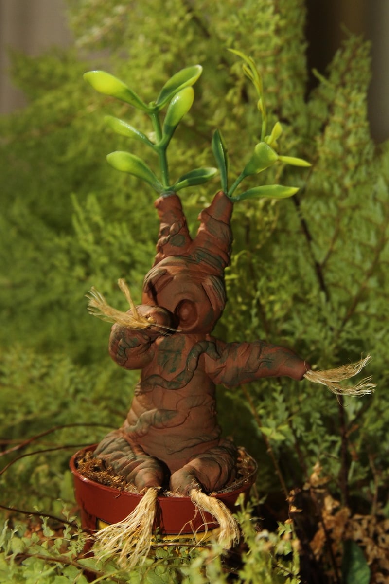 Mandrake