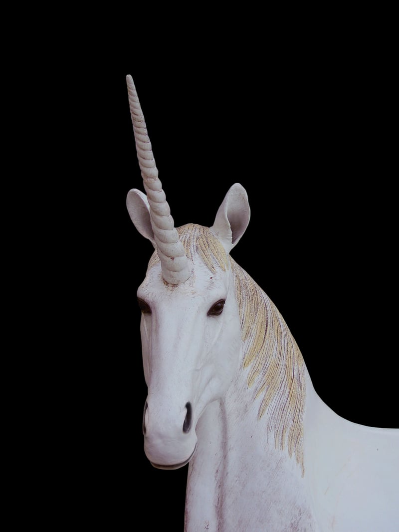 Unicorn